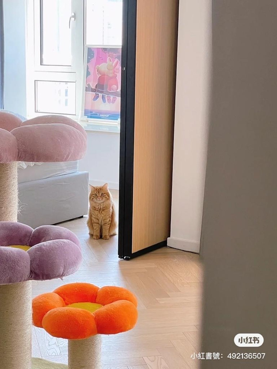 傅穎早前曾分享過自己上海住所的室內裝修。